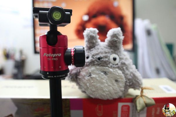 [開箱文] Fotopro TX-PRO1 單眼相機腳架推薦