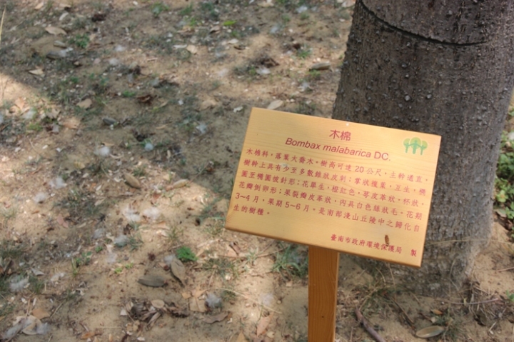 騎遊台南永康彩繪眷村，老兵不死，只是凋零…