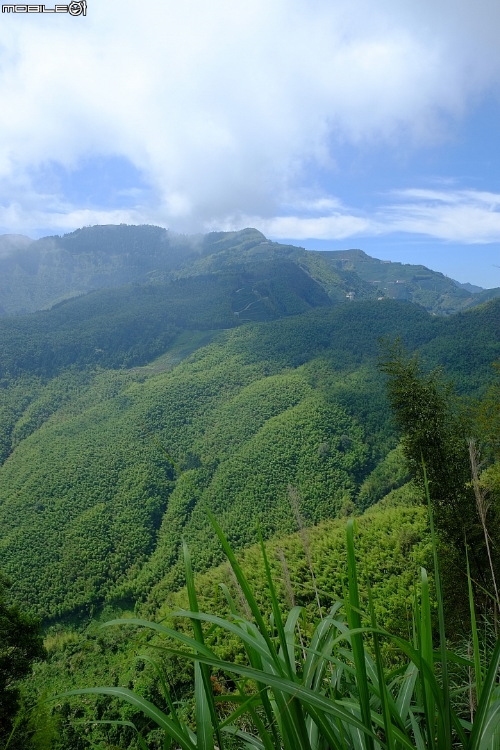 福特非試不可! 24小時免費試駕-1.0T Fiesta