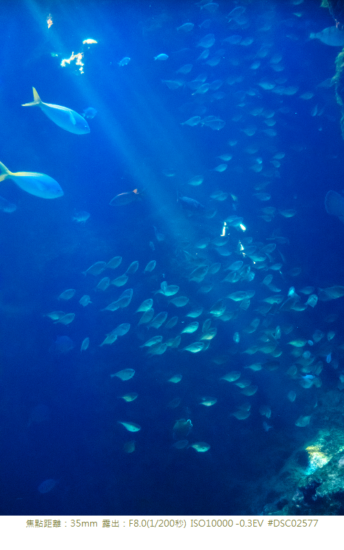 RX1R 沖縄美ら海水族館