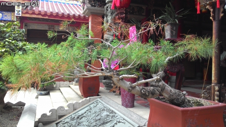 我愛家鄉~推廣本地最環保的媽祖宮