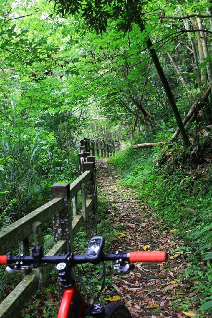 嘉南雲峰下豐山石盤谷單車O型環線