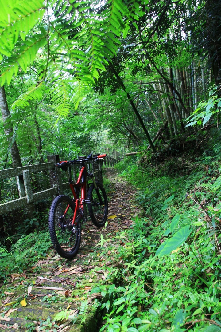 嘉南雲峰下豐山石盤谷單車O型環線