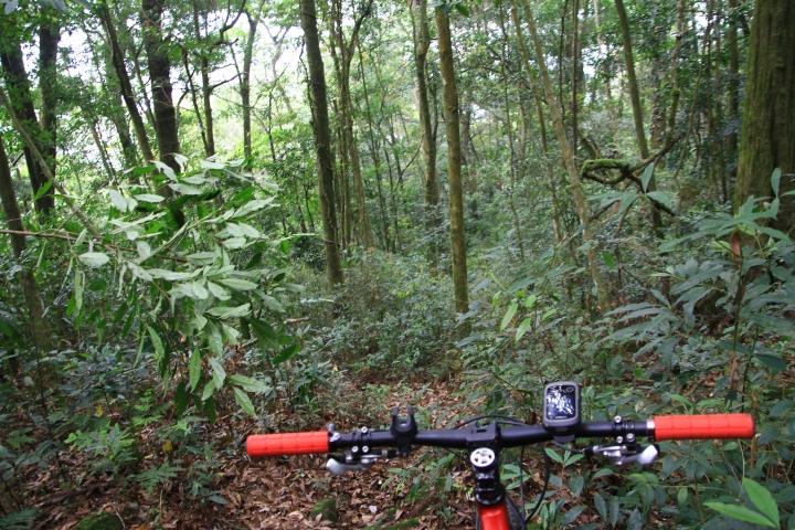 嘉南雲峰下豐山石盤谷單車O型環線