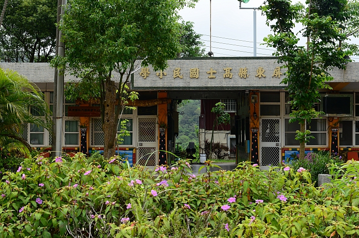 高士國小野牡丹花盛開，歡迎您住宿，一早醒來展開美麗的一天。
