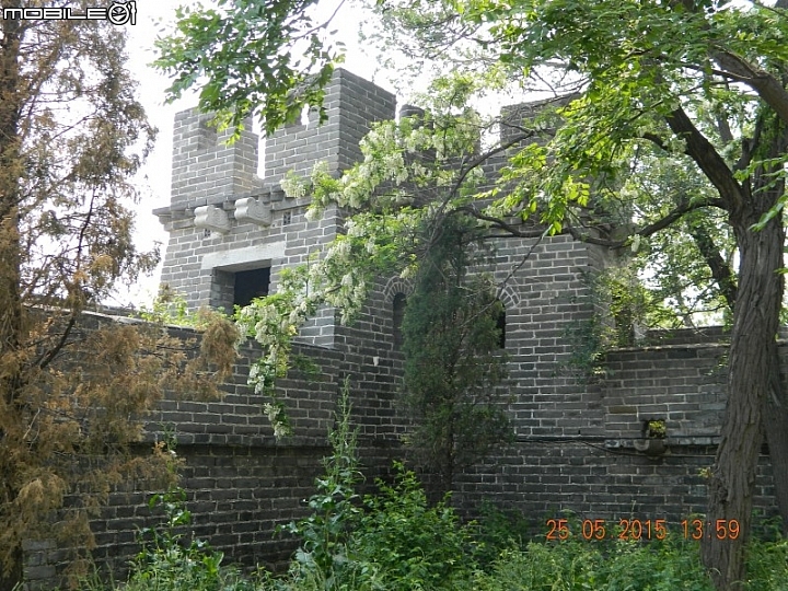角山長城 + 老龍頭 + 山海關