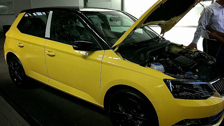 New Fabia 萊姆黃黑(雙色)
