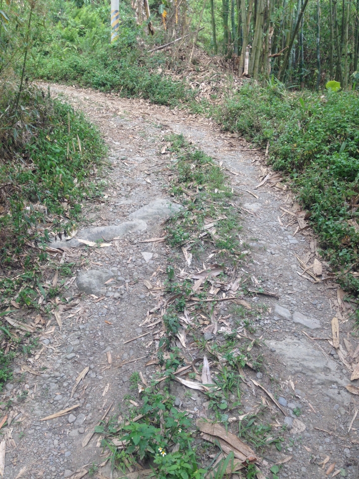 小50從關山到那瑪夏