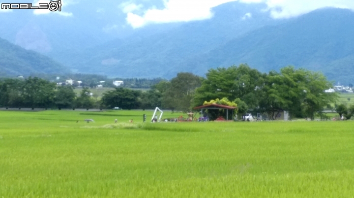 (台東)大波池伯郎大道散步遊