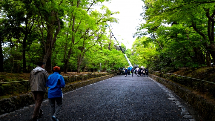 【圖多】2015日本關西一周自由行