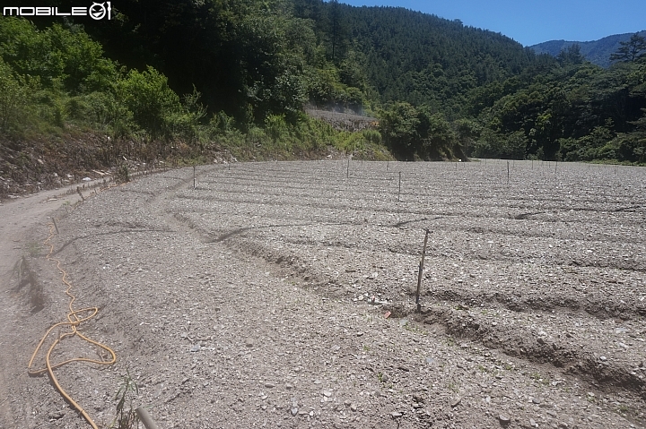 2015.05.18-志佳陽大山(天氣優.悠.呦)