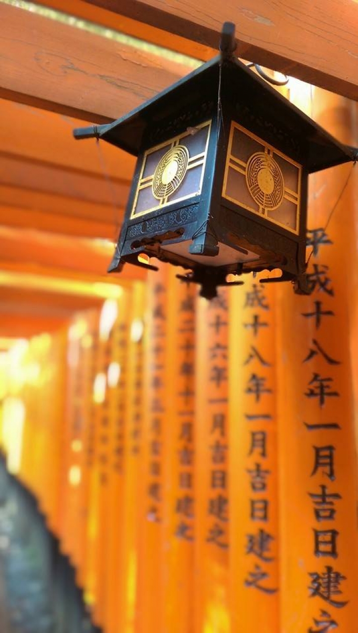 M8的畢業照