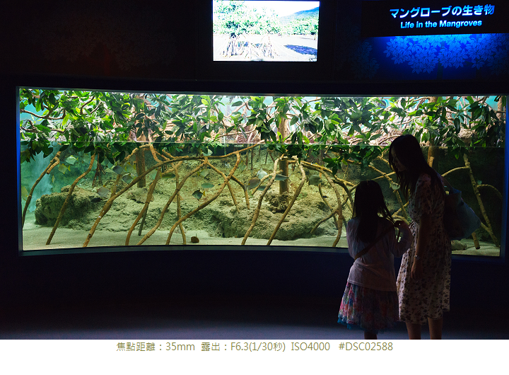 RX1R 沖縄美ら海水族館