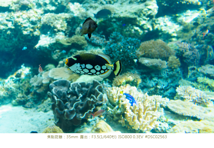 RX1R 沖縄美ら海水族館