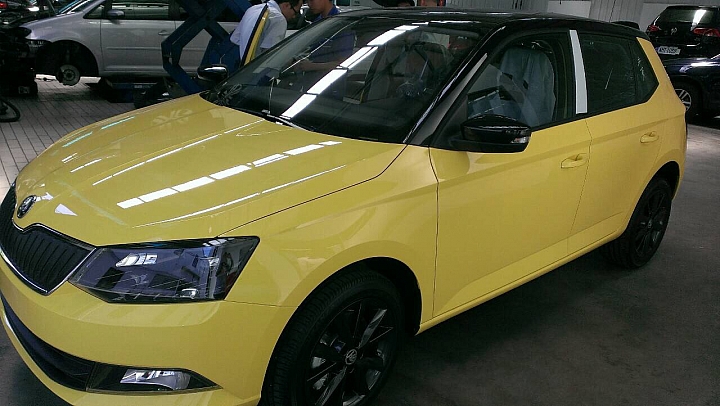 New Fabia 萊姆黃黑(雙色)