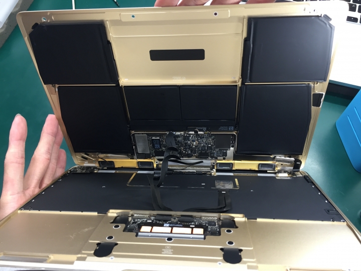 開箱！！金色Macbook有彩蛋 會毒死人