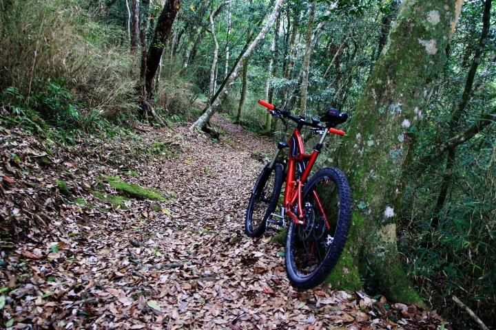 嘉南雲峰下豐山石盤谷單車O型環線