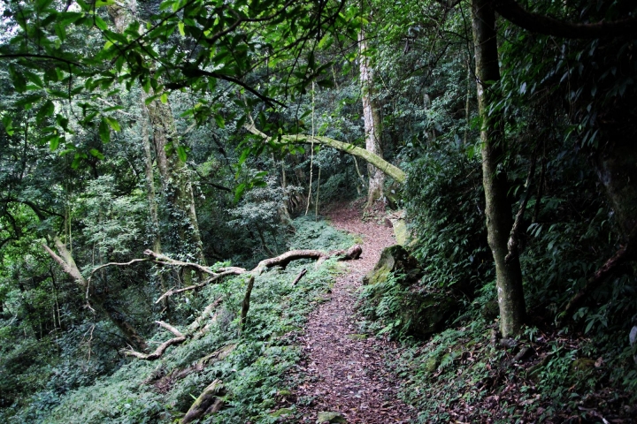 嘉南雲峰下豐山石盤谷單車O型環線