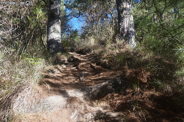 2015.05.18-志佳陽大山(天氣優.悠.呦)