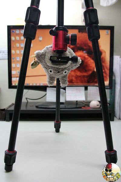 [開箱文] Fotopro TX-PRO1 單眼相機腳架推薦