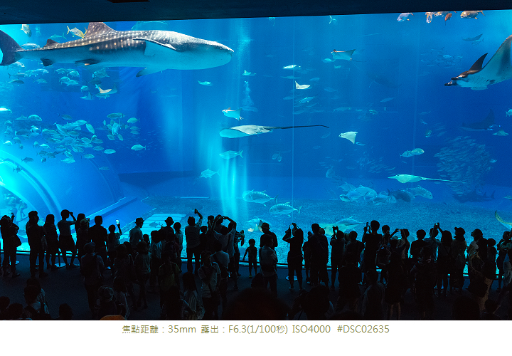 RX1R 沖縄美ら海水族館