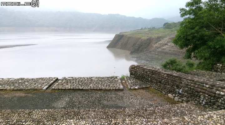 桃園阿姆坪.慈湖散步遊