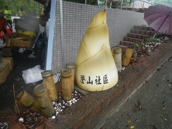 難忘「濕背秀」的一馬--阿勃勒花季馬拉松