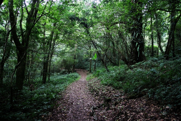 嘉南雲峰下豐山石盤谷單車O型環線