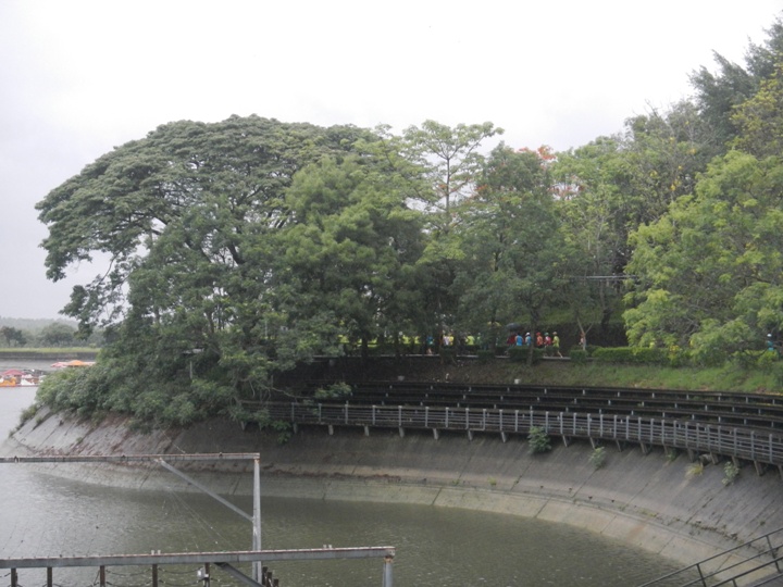 難忘「濕背秀」的一馬--阿勃勒花季馬拉松