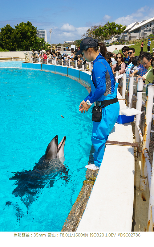 RX1R 沖縄美ら海水族館