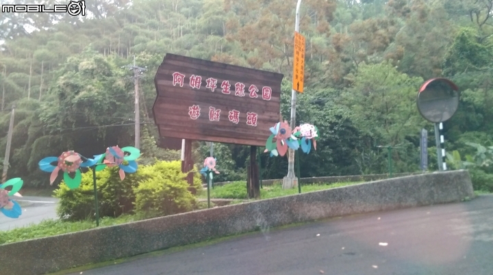 桃園阿姆坪.慈湖散步遊