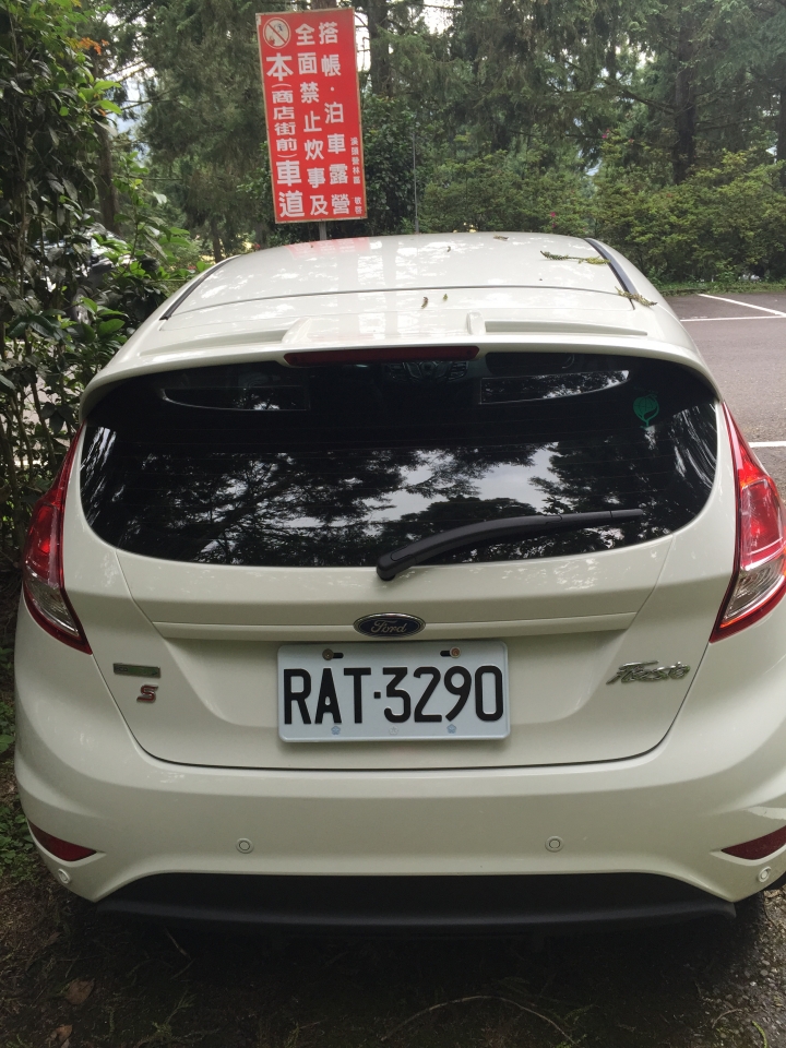 Ford Fiesta 24小時免費試駕  ~溪頭一日遊