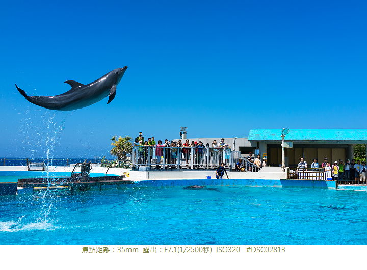 RX1R 沖縄美ら海水族館