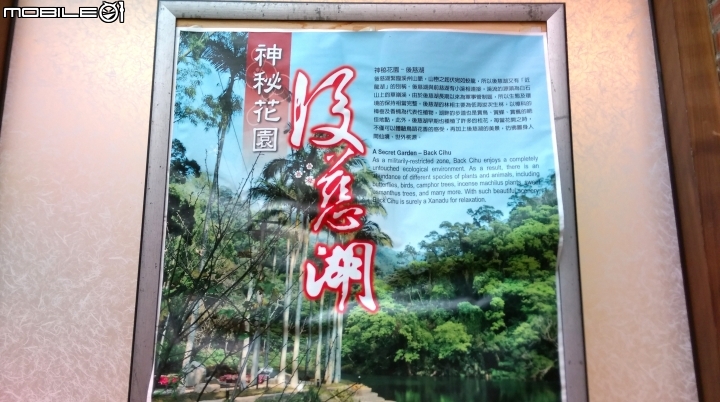 桃園阿姆坪.慈湖散步遊