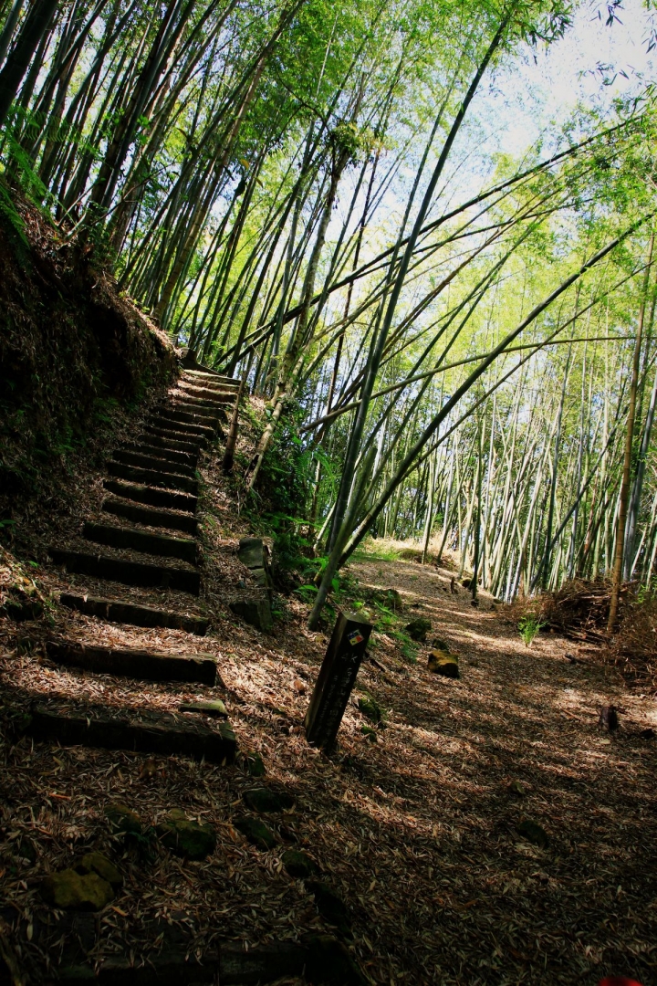 嘉南雲峰下豐山石盤谷單車O型環線
