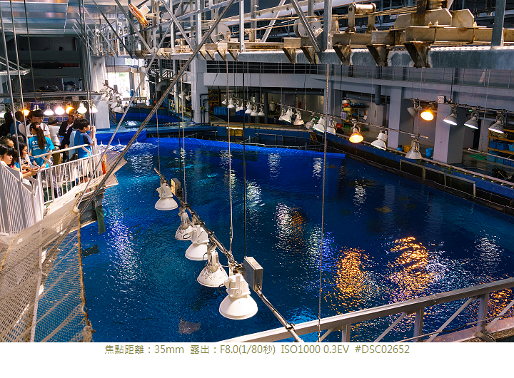 RX1R 沖縄美ら海水族館