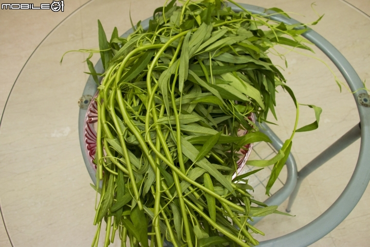 魚菜共生種植---空心菜