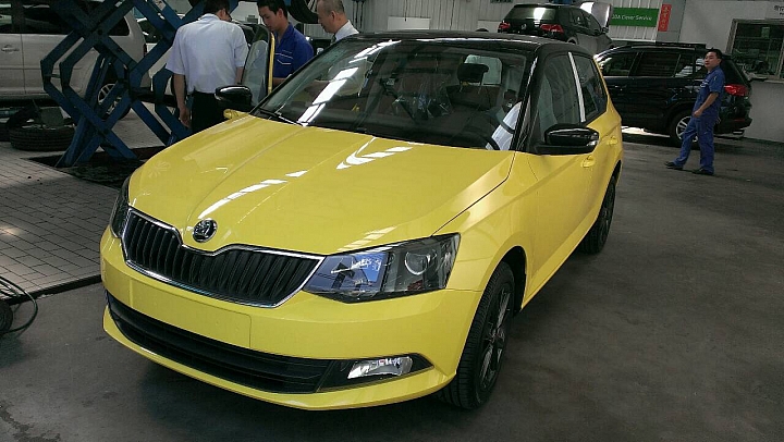 New Fabia 萊姆黃黑(雙色)
