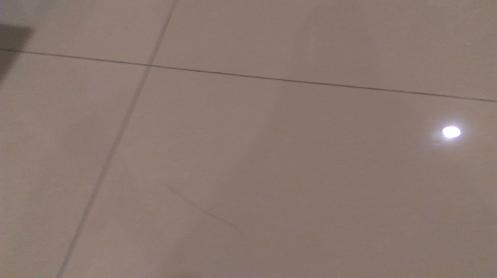 請問磁磚問題