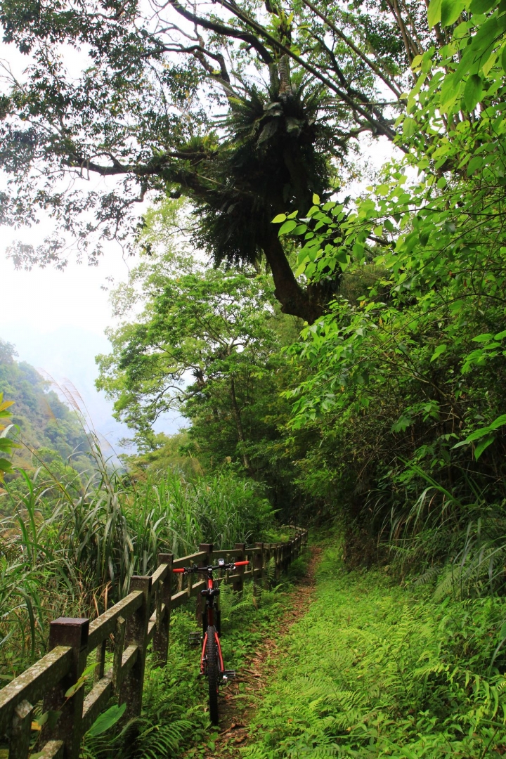 嘉南雲峰下豐山石盤谷單車O型環線