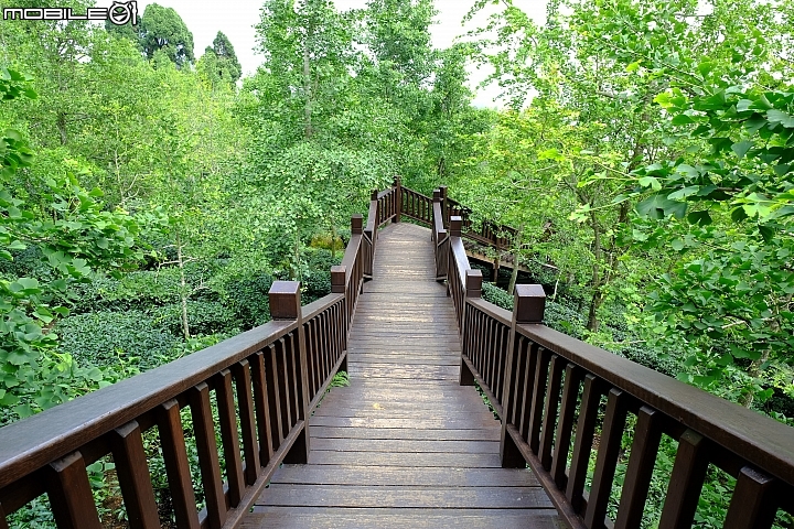 福特非試不可! 24小時免費試駕-1.0T Fiesta