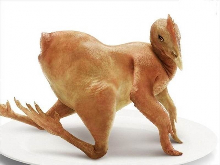 三大名模 全裸獻身...........