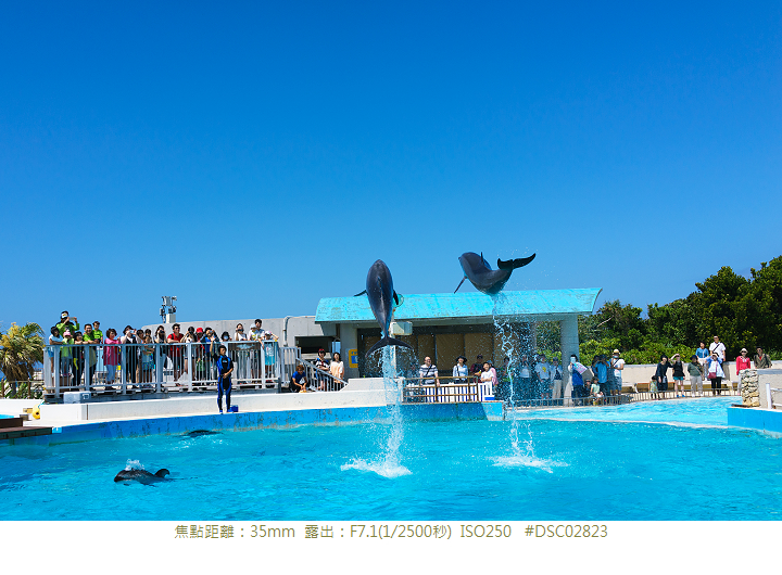 RX1R 沖縄美ら海水族館