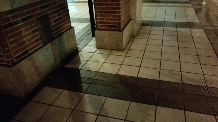 HTC E9+ 夜拍效果不錯