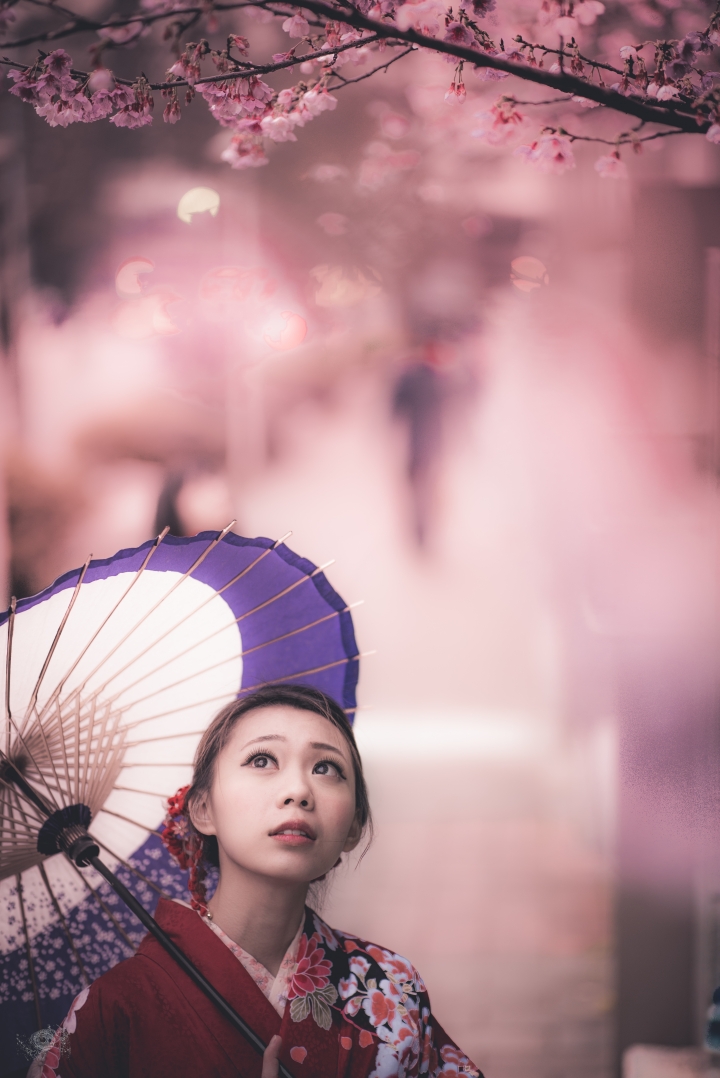 ［回顧］逐風者：失敗者的飛翔