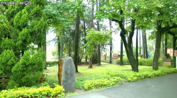 桃園阿姆坪.慈湖散步遊