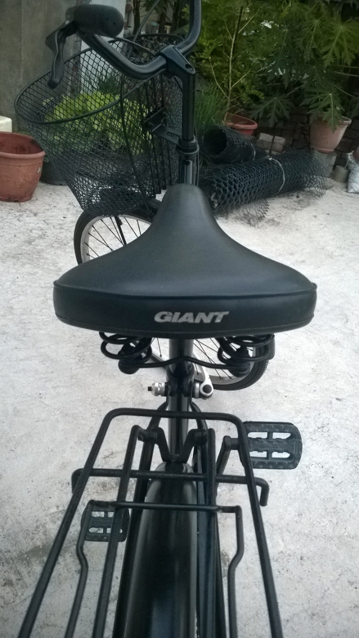 老捷安特 淑女車