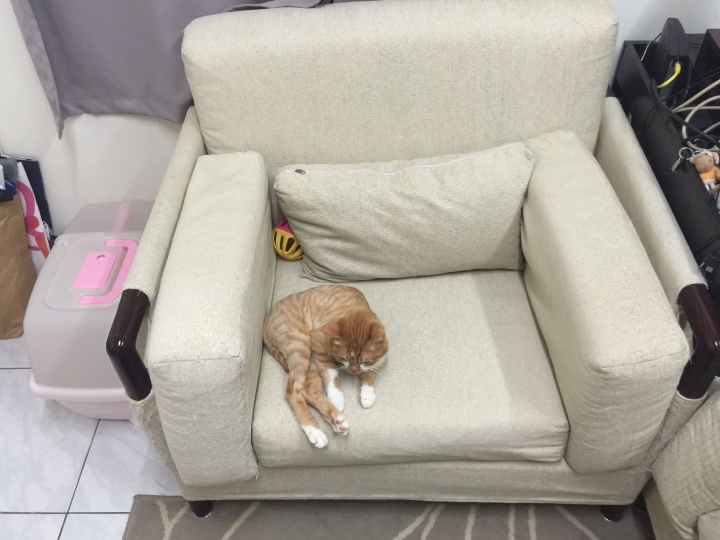 希望能找出這是哪個沙發品牌！
