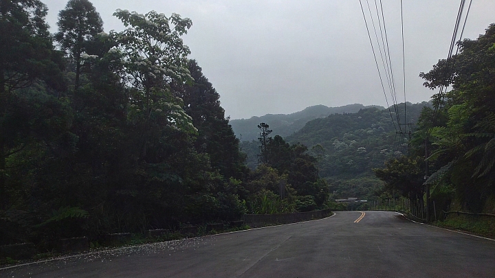 20150501汐平公路桐花滿載