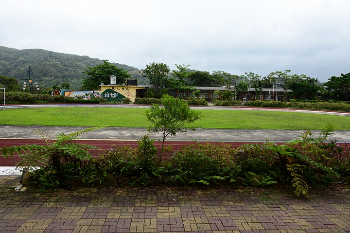 高士國小野牡丹花盛開，歡迎您住宿，一早醒來展開美麗的一天。